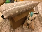 Image of a box with a pillow and stuffed animal holding tablets.